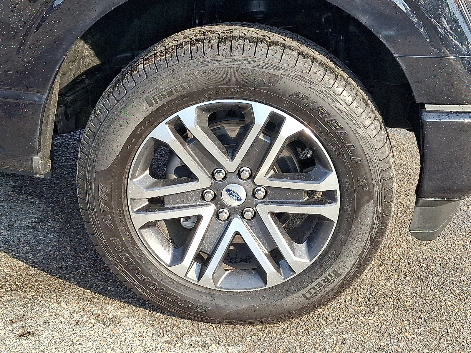 Certified 2023 Ford F150 XL w/ STX Appearance Package AWD/4WD image 8