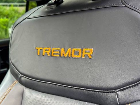Certified 2025 Ford Expedition Tremor AWD/4WD image 26