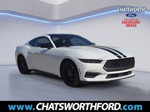 Used 2025 Ford Mustang Coupe w/ Mustang Nite Pony Package image 1