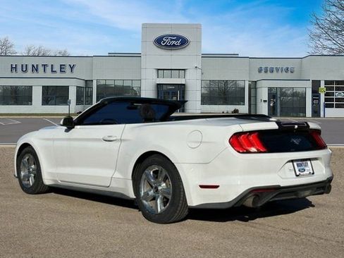 Used 2019 Ford Mustang Convertible image 5