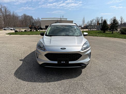 Used 2020 Ford Escape SEL image 4
