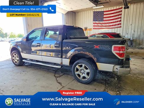 Used 2013 Ford F150 XLT w/ Luxury Equipment Group AWD/4WD image 3