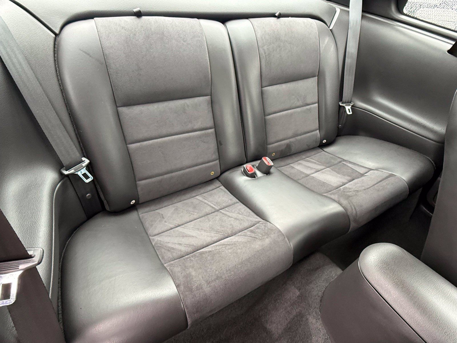Used 2004 Ford Mustang Cobra RWD image 13