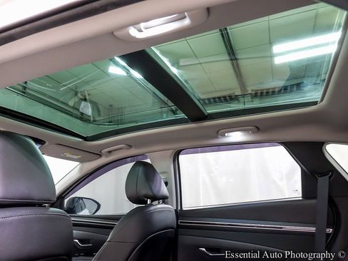 Used 2023 Hyundai Tucson Limited image 12