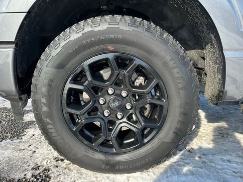 Used 2024 Ford F150 XLT w/ Equipment Group 302A MID image 14