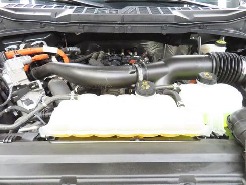 Used 2024 Ford F150 XLT w/ Equipment Group 303A High AWD/4WD image 40