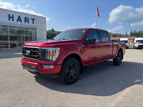 Used 2021 Ford F150 XLT w/ Equipment Group 302A High AWD/4WD image 7