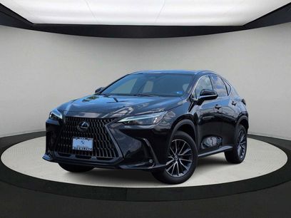 Used 2024 Lexus NX 350h AWD