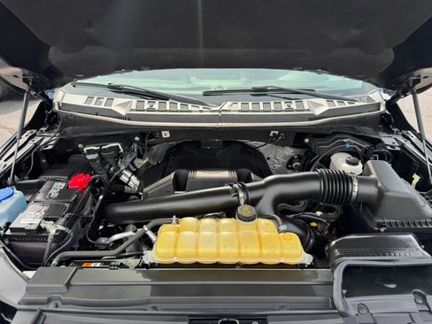 Used 2019 Ford F150 XLT w/ Equipment Group 302A Luxury AWD/4WD image 24