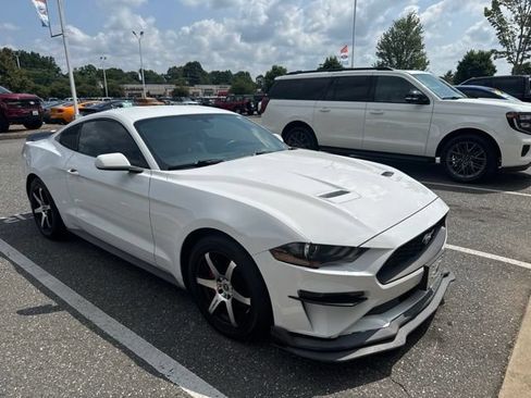 Used 2019 Ford Mustang Coupe w/ Equipment Group 101A RWD image 2