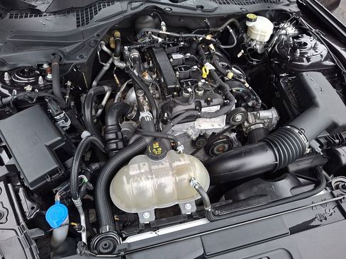 Used 2022 Ford Mustang Premium w/ Equipment Group 201A RWD image 28