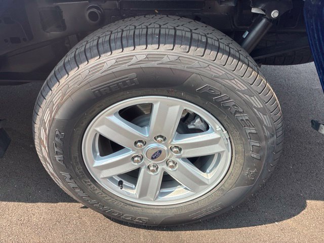 New 2026 Ford F150 XL w/ Equipment Group 103A High AWD/4WD image 12