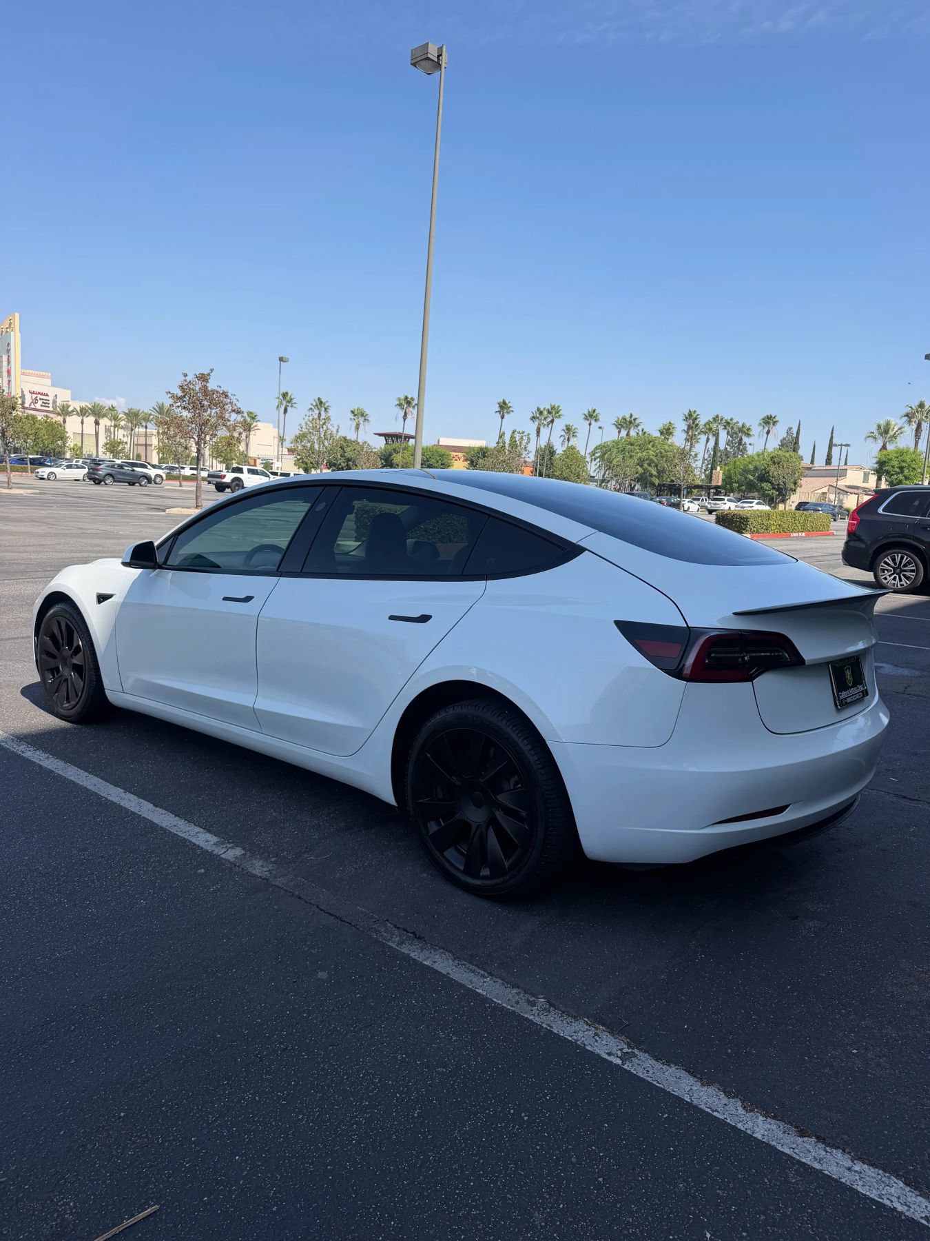 Used 2023 Tesla Model 3 Standard Range RWD image 6