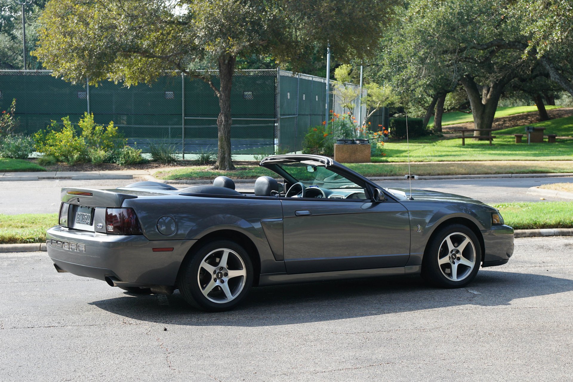 Used 2003 Ford Mustang Cobra RWD image 9