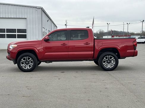 Used 2023 Toyota Tacoma SR w/ SR Convenience Package image 6