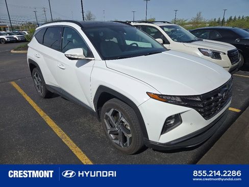 Used 2023 Hyundai Tucson Limited AWD/4WD image 1