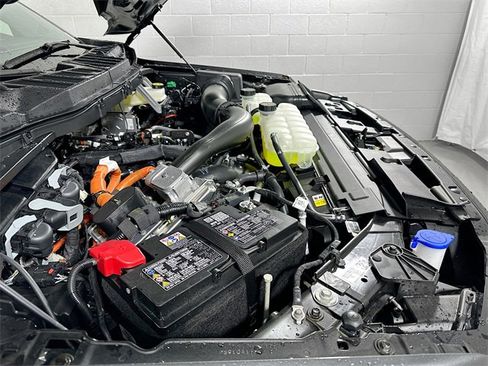 New 2025 Ford F150 XLT w/ Equipment Group 302A MID image 20