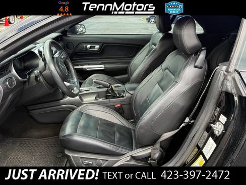 Used 2018 Ford Mustang Premium w/ Equipment Group 201A RWD image 12