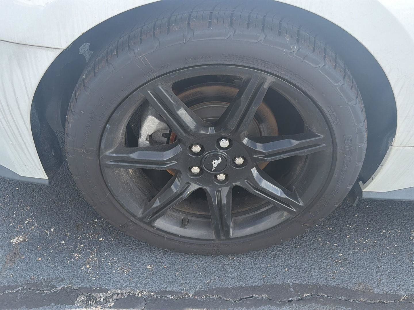 Used 2019 Ford Mustang Premium w/ Black Accent Package RWD image 14