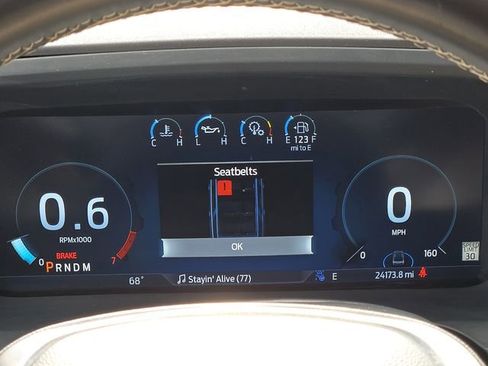 Used 2024 Ford Expedition Platinum AWD/4WD image 9