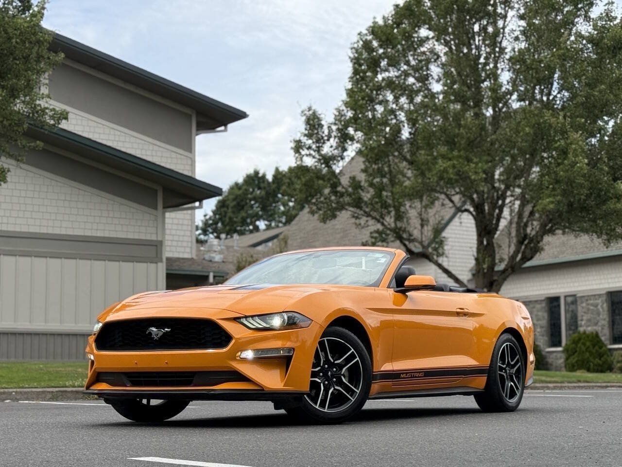 Used 2018 Ford Mustang Premium w/ Equipment Group 201A RWD image 1