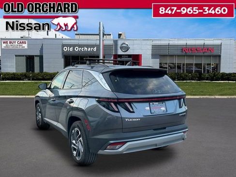 Used 2025 Hyundai Tucson Limited image 8