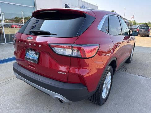 Used 2021 Ford Escape SE w/ Cold Weather Package image 5