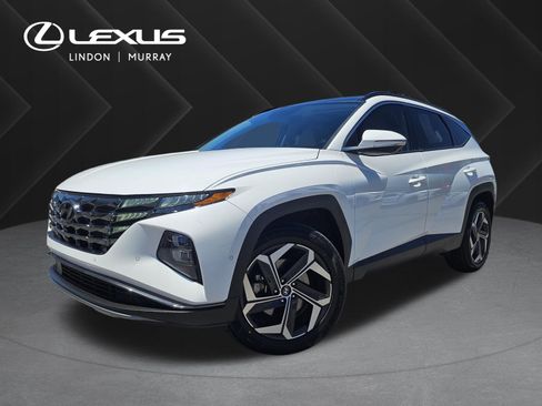 Used 2023 Hyundai Tucson Limited AWD/4WD image 1
