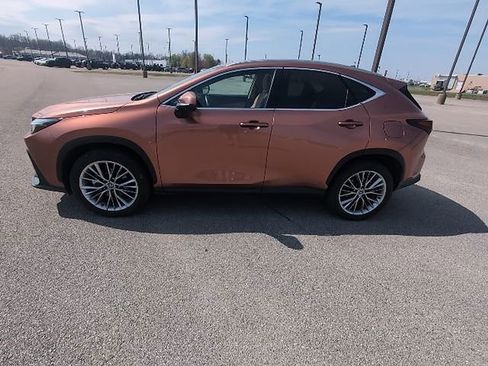 Used 2025 Lexus NX 350 AWD w/ Cold Area Package image 2