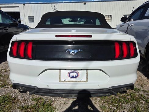 Used 2019 Ford Mustang Premium RWD image 4