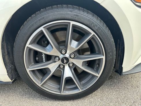 Used 2015 Ford Mustang 50 Years RWD image 2
