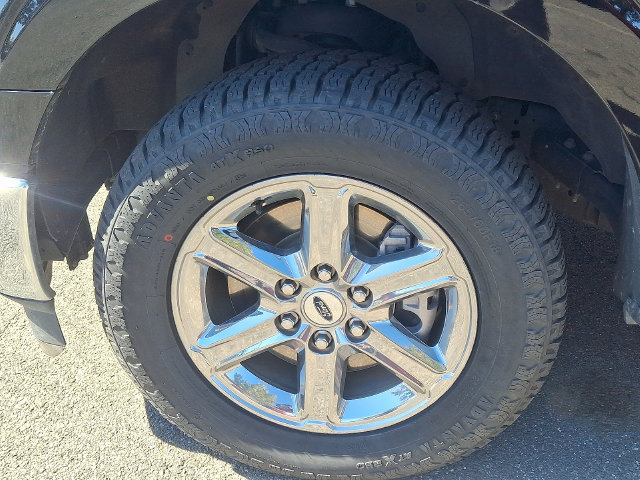 Used 2025 Ford F150 XLT w/ Equipment Group 301A Standard RWD image 6