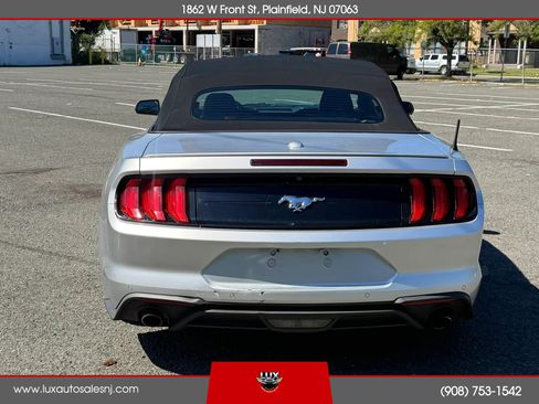 Used 2019 Ford Mustang Premium w/ Equipment Group 201A RWD image 5