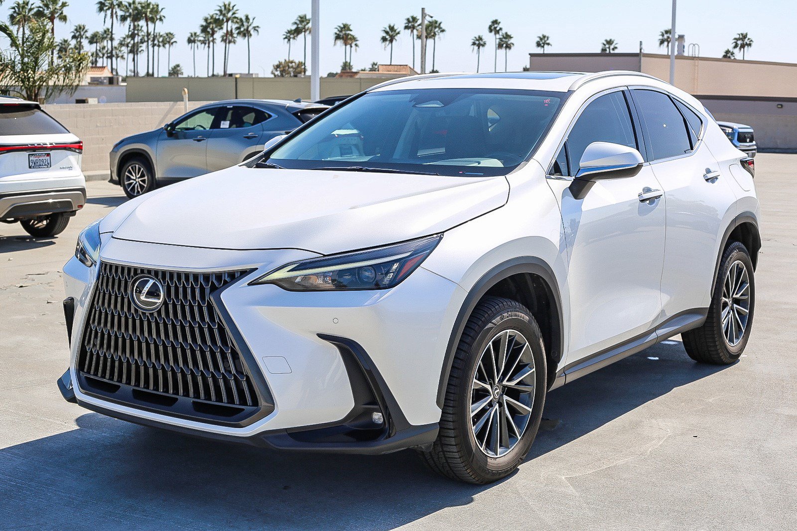 Used 2024 Lexus NX 350 AWD w/ Cold Area Package image 3