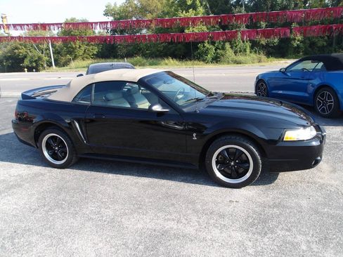 Used 1999 Ford Mustang Cobra RWD image 3