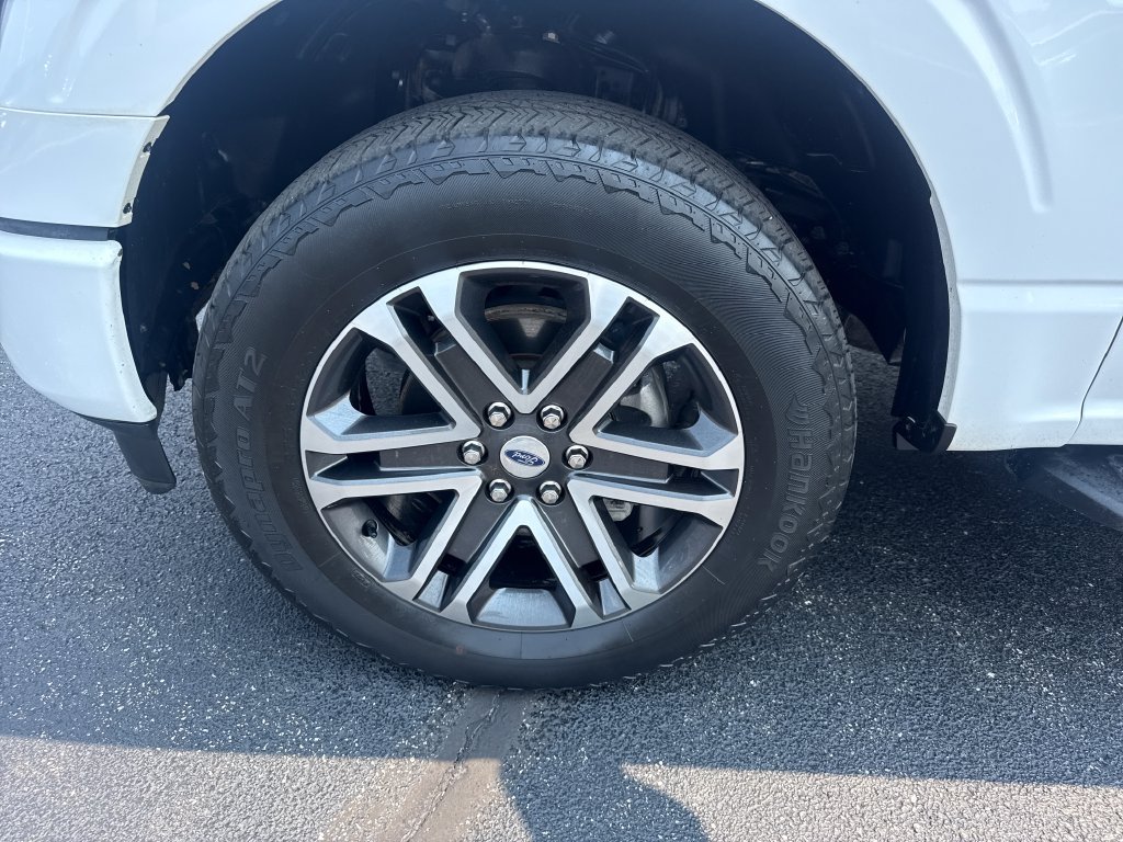 Used 2023 Ford F150 XL w/ STX Appearance Package AWD/4WD image 18