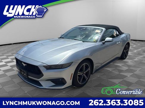 Used 2025 Ford Mustang Premium RWD image 1