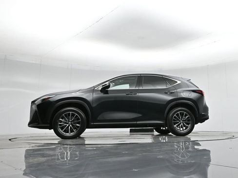 Used 2024 Lexus NX 350h AWD w/ Premium Package image 6