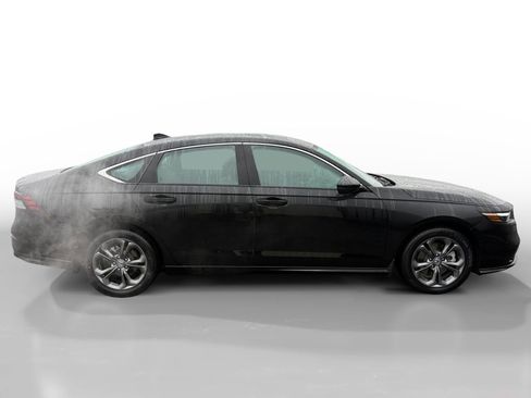 Used 2024 Honda Accord EX-L image 6