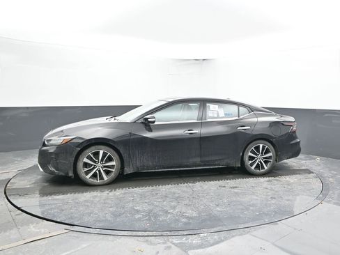Used 2023 Nissan Maxima SL image 7