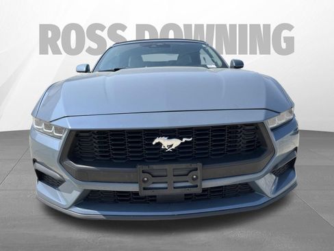 Used 2024 Ford Mustang Premium RWD image 2
