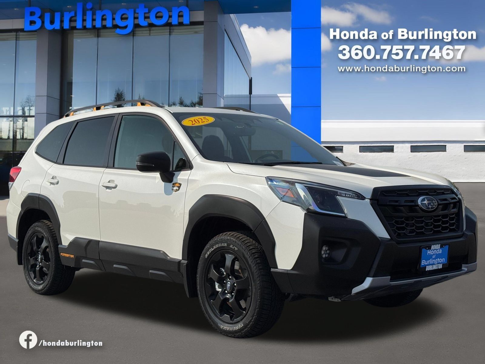 Used 2025 Subaru Forester Wilderness AWD/4WD image 8