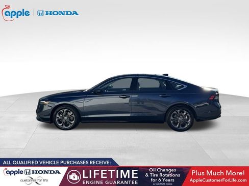 Used 2025 Honda Accord EX-L image 8