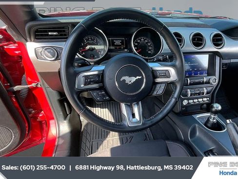 Used 2022 Ford Mustang GT w/ Equipment Group 301A RWD image 5