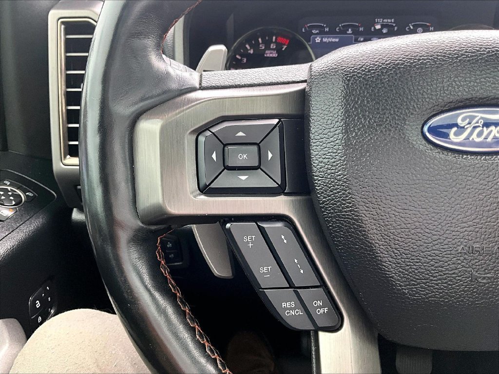 Used 2017 Ford F150 Raptor w/ Equipment Group 802A Luxury AWD/4WD image 19