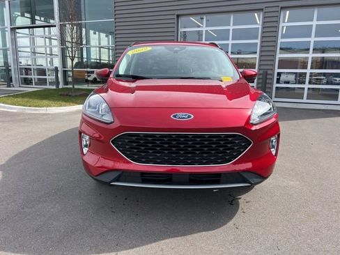 Used 2022 Ford Escape SEL image 2