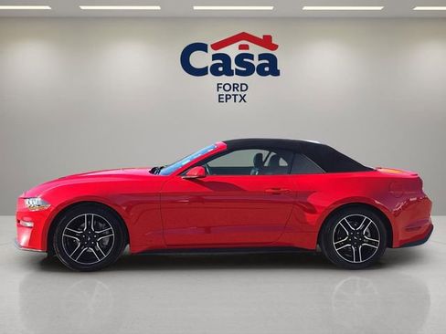 Used 2023 Ford Mustang Premium image 5