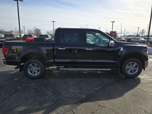 Used 2025 Ford F150 XLT w/ Equipment Group 302A MID AWD/4WD image 6
