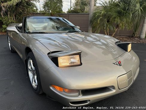 Used 2000 Chevrolet Corvette Convertible w/ Performance Handling Pkg RWD image 5