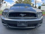 Used 2014 Ford Mustang Premium w/ Equipment Group 201A image 5
